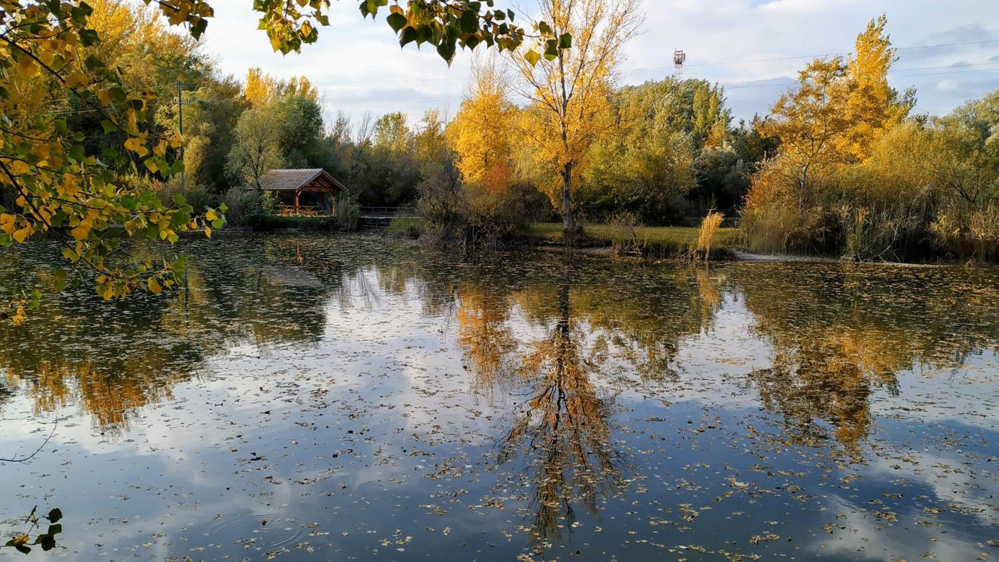 Hidlab Apartman Kimle Dış mekan fotoğraf